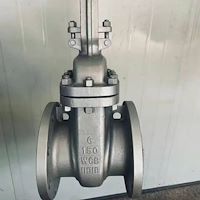 شیر فلکه کشویی فولادی 6 اینچ کلاس 150